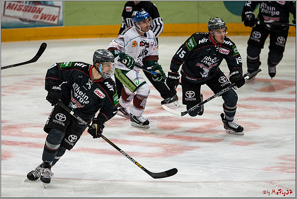 DEL, Koelner Haie - Augsburger Panther, 13.01.2017